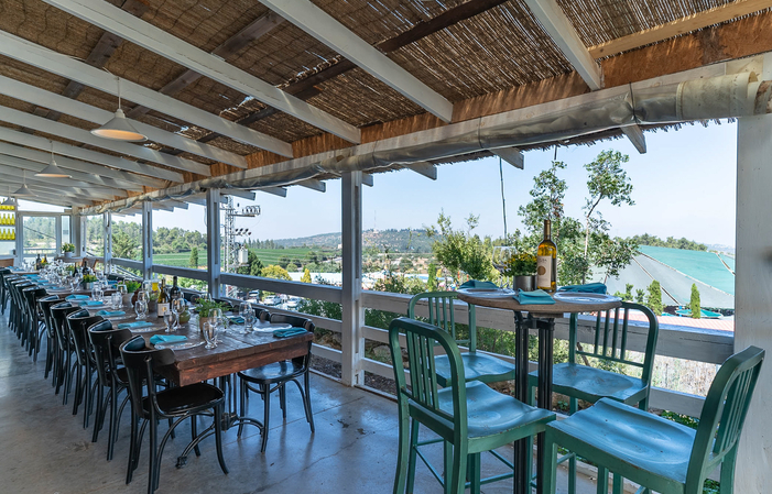 Visit and tasting Tzuba estate winery €12.80