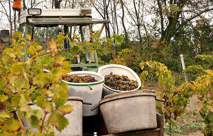 Visit and Tasting at Domaine Ricardelle de Lautrec €1.00