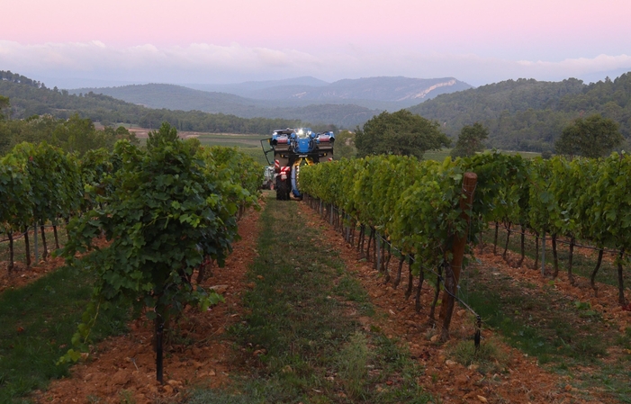 Visit and taste at the Château De L'escarelle €10.00