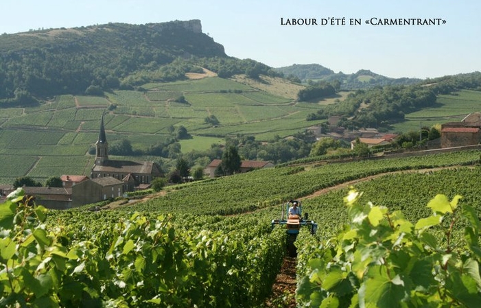 Visit to the DOMAINE SANGOUARD-GUYOT €1.00