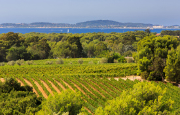 Visit and Tasting at Domaine Figuière €1.00