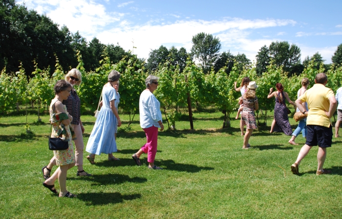 Visit and Tasting - Oatley Vineyard €1.00