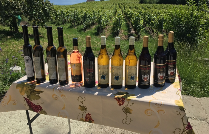 Visit and Tasting at Domaine Blondel €1.00