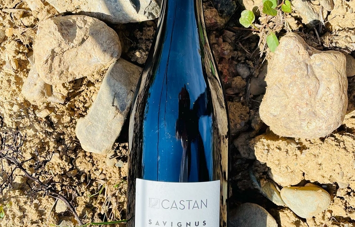 Visit and tasting of Domaine Castan €1.00